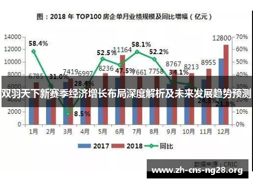 双羽天下新赛季经济增长布局深度解析及未来发展趋势预测