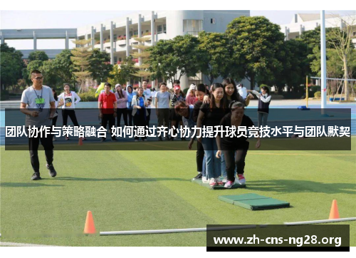 团队协作与策略融合 如何通过齐心协力提升球员竞技水平与团队默契