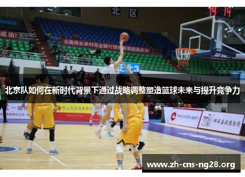 北京队如何在新时代背景下通过战略调整塑造篮球未来与提升竞争力