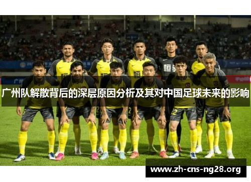 广州队解散背后的深层原因分析及其对中国足球未来的影响